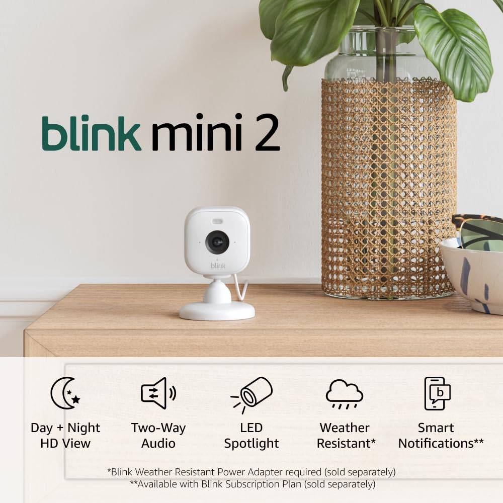 Blink Mini 2 (최신 모델)