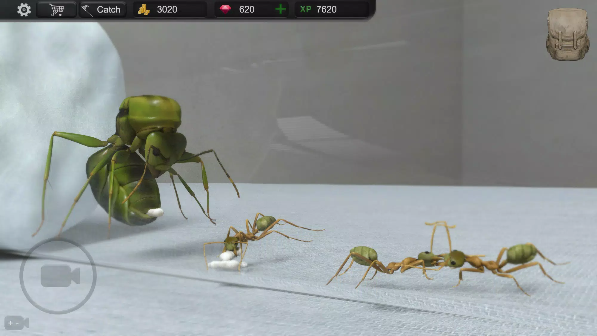 Ant Sim Tycoon Captura de pantalla 0