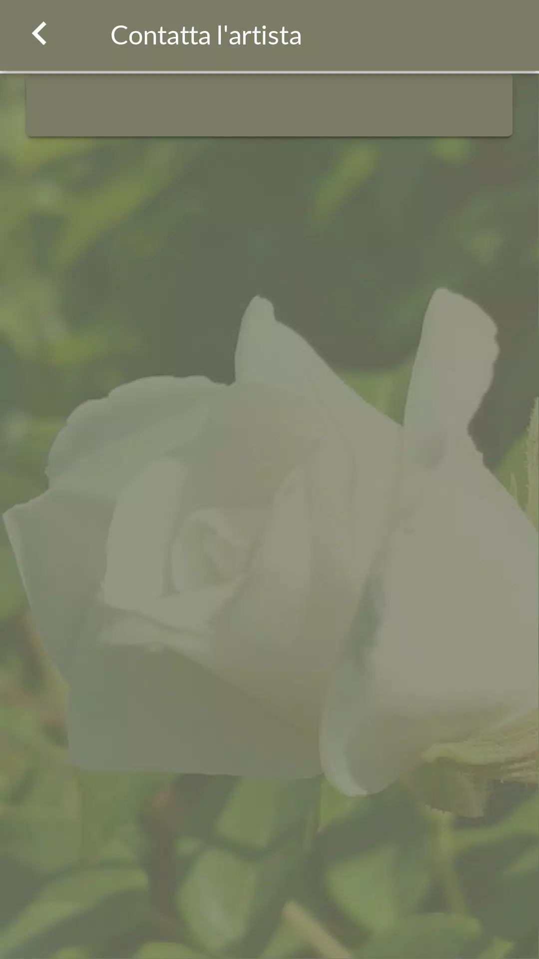 Marcella Matteoni スクリーンショット 2