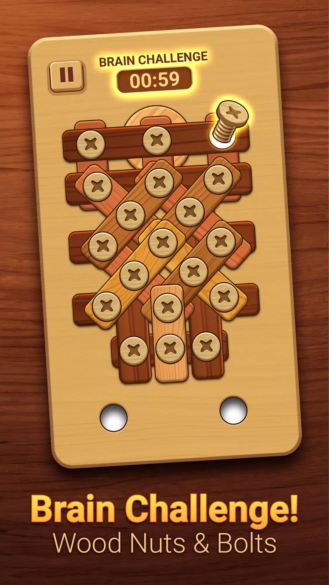 Woodle - Wood Screw Puzzle Captura de tela 2