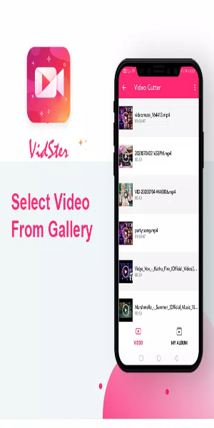 Vidster-视频和音频编辑器