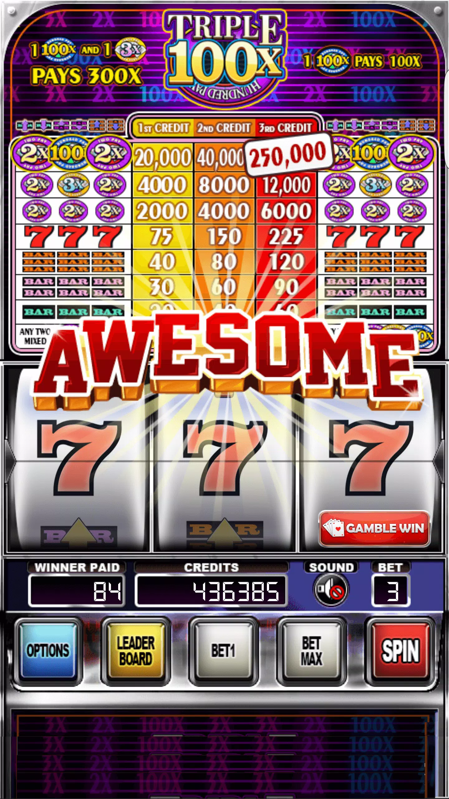 Double Wild Slots Captura de pantalla 2