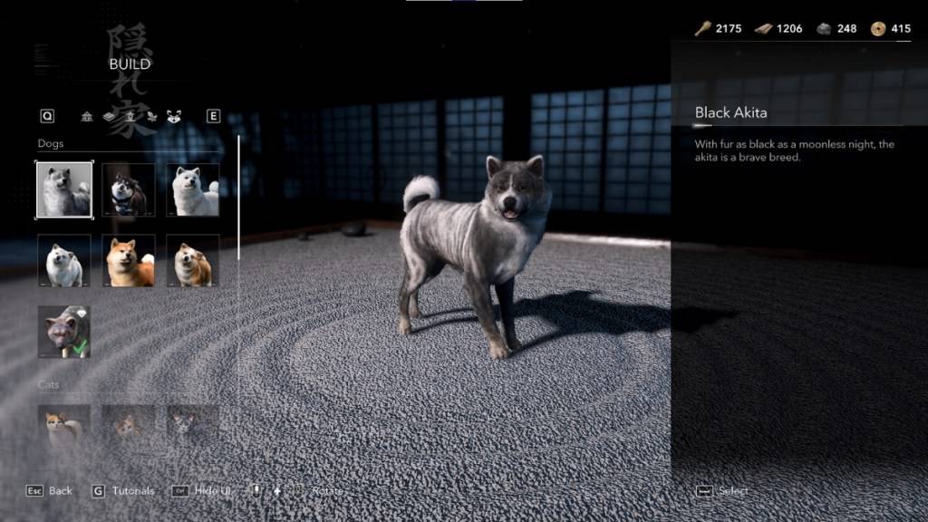 Меню укрытия в меню Assassin's Creed Shadows