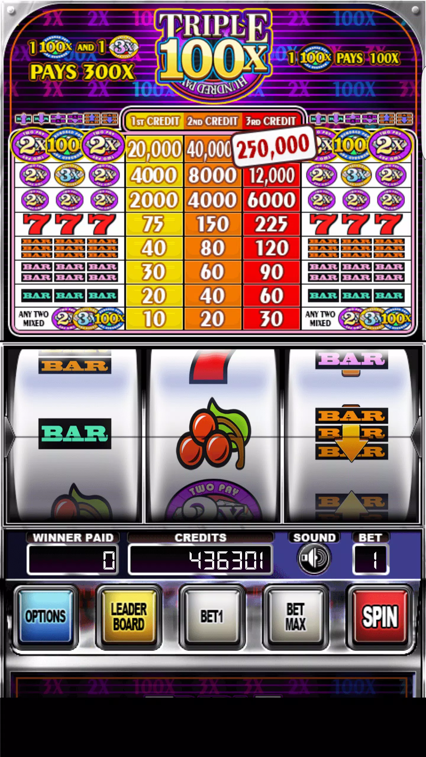Double Wild Slots Captura de pantalla 0