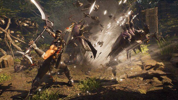 Ninja Gaiden 2黑色 - 權威版