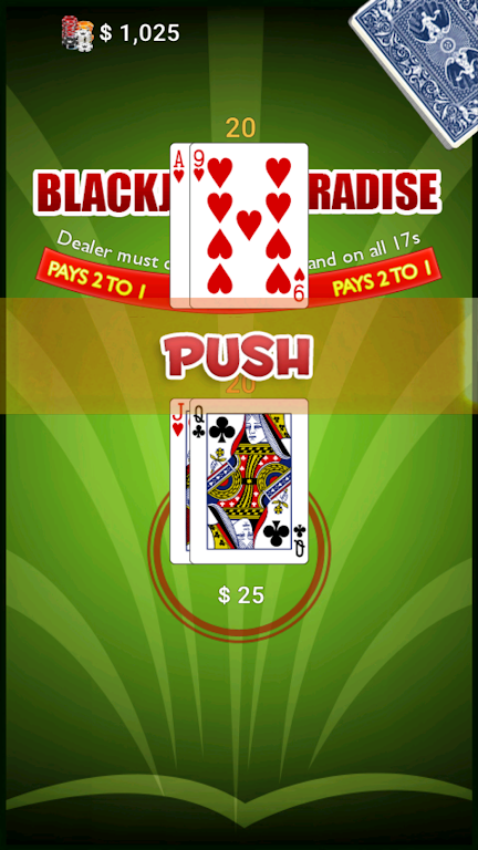 BlackJack Paradise应用截图第2张