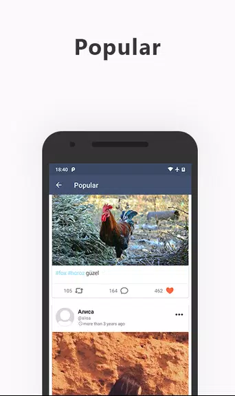 My Social Network Capture d'écran 1
