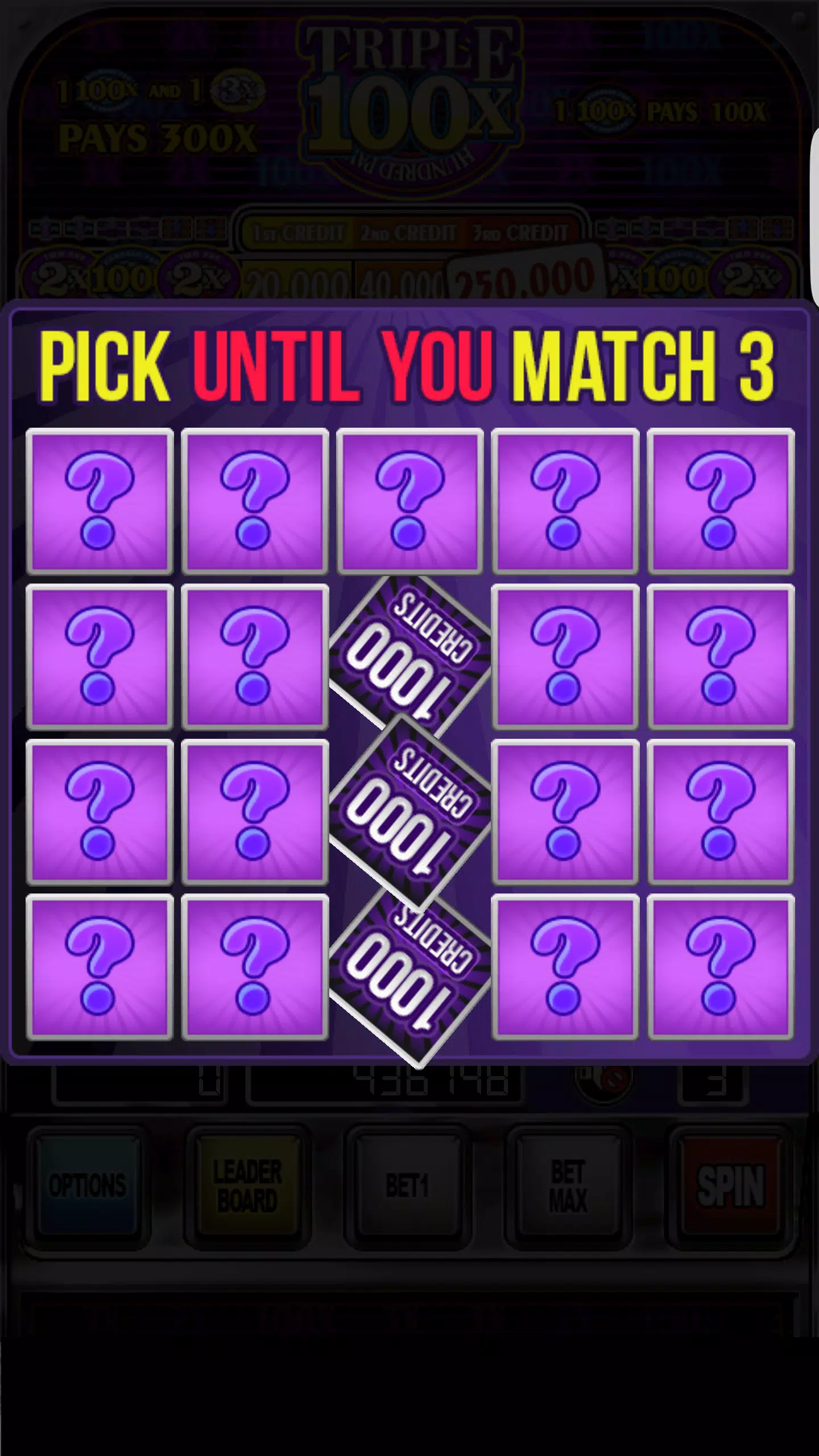 Double Wild Slots Captura de pantalla 3