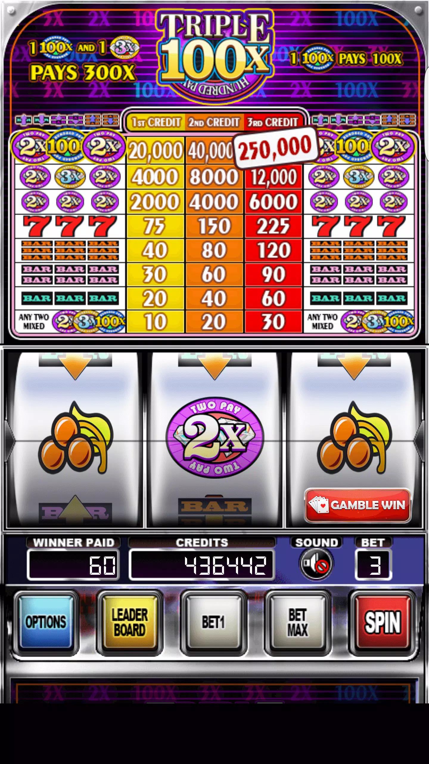 Double Wild Slots Captura de pantalla 1