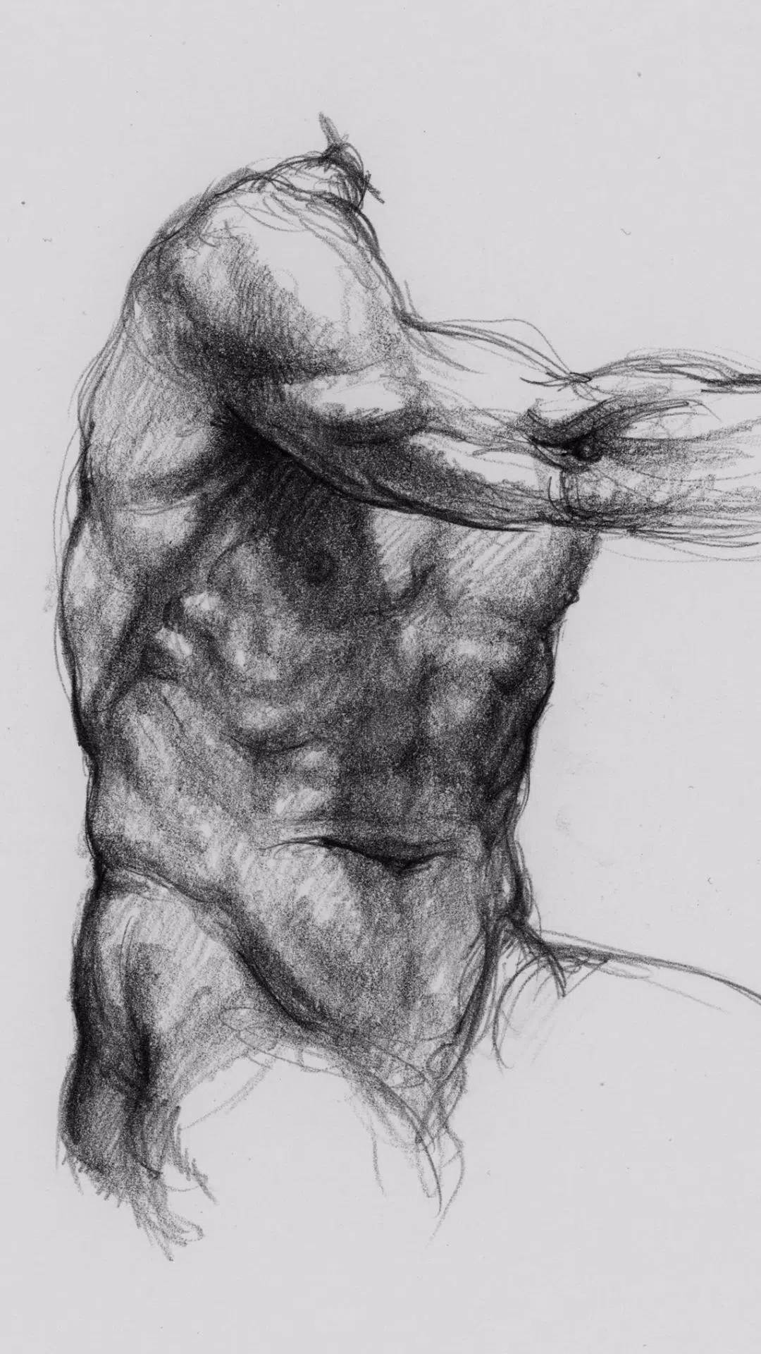 3D Anatomy for the Artist ภาพหน้าจอ 0
