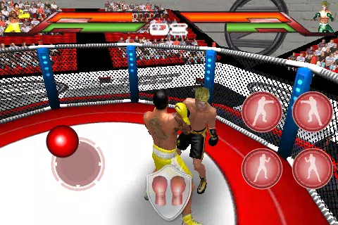 Virtual Boxing Captura de tela 0