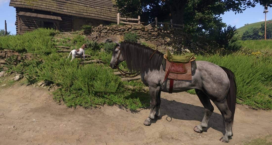 Mode hardcore dans le royaume Come: Deliverance 2