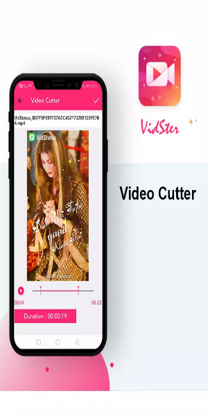 VidSter - Video & Audio Editor应用截图第2张