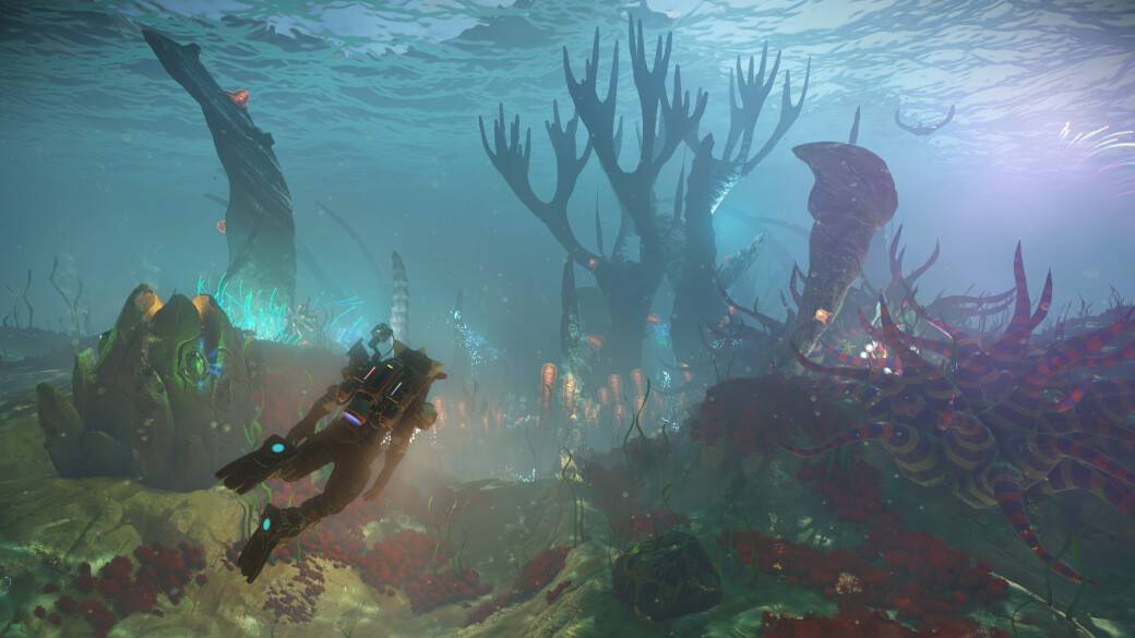 Profundidades misteriosas