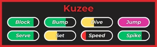 Kuzee style from Haikyuu Legends Roblox experience